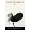 A Horse with Holes in It: Poems