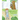Sasquatch Summer