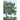 The Apricot Tree: Nobody Is Perfect
