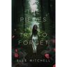 The Pieces We Try to Forget