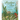 Meadows of the Sea: The Wonders of Seagrass