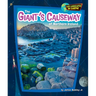 The Giant's Causeway of Northern Ireland