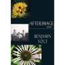 Afterimage