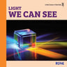 Light We Can See