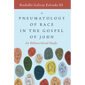 A Pneumatology of Race in the Gospel of John: An Ethnocritical Study