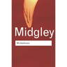Wickedness: A Philosophical Essay