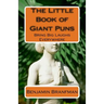 The Little Book of Giant Puns: Bring Big Laughs Everywhere