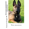 belgian shepherd malinois