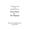 Chronicles of Badshapur: Prince Rajvir and the Magicity