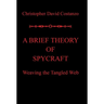 A Brief Theory of Spycraft: Weaving the Tangled Web