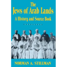 The Jews of Arab Lands: A History and Source Book
