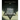 The Book of Jasher