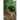 In the Snowbird Mountains and Other Stories