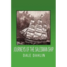 Journeys of the Salesman Ship