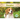 Beagles