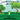 Cajun Tails: Alligator Fred Goes to the Park