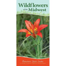 Wildflowers of the Midwest: Your Way to Easily Identify Wildflowers