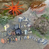 Tide Pooler's Numbers