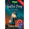 The Galtee Pony Mystery - Blackthorn Stables Junior