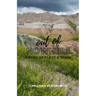 Out of Nowhere: Poems of Place and Being