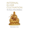 Internal Elixir Meditation: The Nature of Daoist Meditation