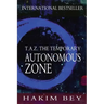 T.A.Z.: The Temporary Autonomous Zone