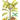 "Mga kwentong Alamat: kwentong Pambata" Philippines Folktales for the Children