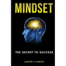 Mindset: The Secret to Success