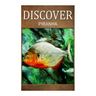 Piranha - Discover: Early reader's wildlife photography book