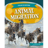 Animal Migration