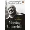 Meeting Churchill: A Life in 90 Encounters