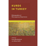 Kurds in Turkey: Ethnographies of Heterogeneous Experiences