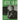 Artie Shaw: A Musical Biography and Discography