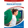 The Human Muscular System