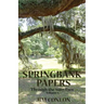 Springbank Papers: Through the Sun's Eyes