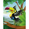 Toucans Coloring Book 1