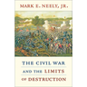 Civil War and the Limits of Destruction