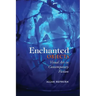 Enchanted Objects: Visual Art in Contemporary Fiction