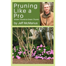 Pruning Like a Pro