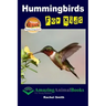 Hummingbirds For Kids
