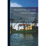 Whitefish in the Great Lakes [microform]