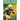 Notre Dame Fighting Irish Football Fun Facts