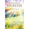 Accidental Heaven: What If Heaven Were a Real, Physical Place...Right Now?