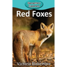 Red Foxes