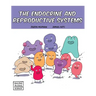 The Endocrine and Reproductive Systems