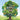 The Strong Tree