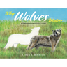 Why Wolves Matter: A Conservation Success Story