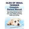 Glen of Imaal Terrier Complete Owners Manual. Glen of Imaal Terrier book for care, costs, feeding, grooming, health and training.