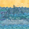 Billy and the Secret Ship