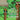 Little Oak: The Reluctant Tree